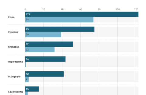 example of a Datawrapper grouped bar chart