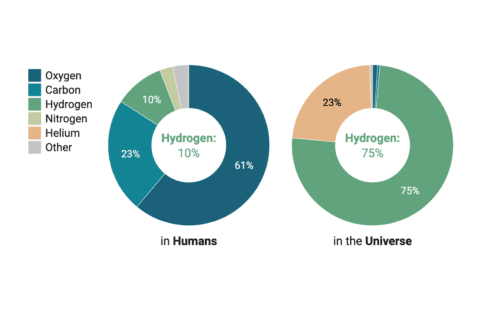example of a Datawrapper multiple donut chart