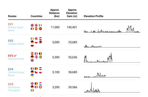 Example of a Datawrapper table